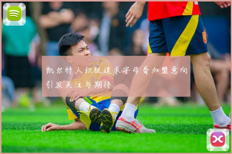 凯尔特人积极追求字母哥加盟意向引发关注与期待