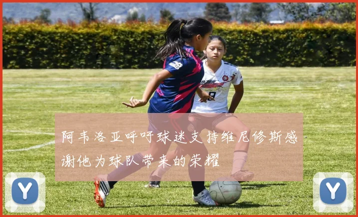 阿韦洛亚呼吁球迷支持维尼修斯感谢他为球队带来的荣耀